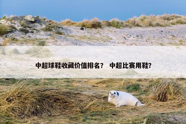 中超球鞋收藏价值排名？ 中超比赛用鞋？
