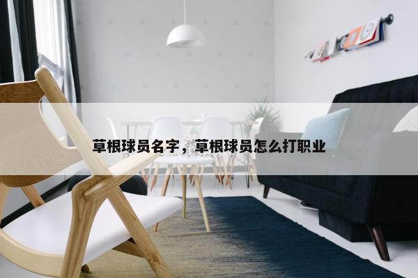草根球员名字，草根球员怎么打职业