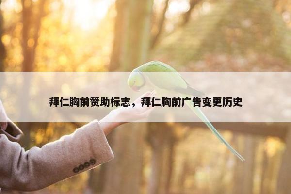 拜仁胸前赞助标志，拜仁胸前广告变更历史