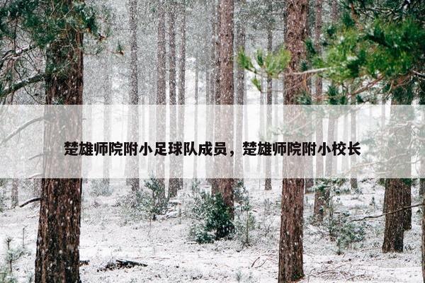 楚雄师院附小足球队成员，楚雄师院附小校长
