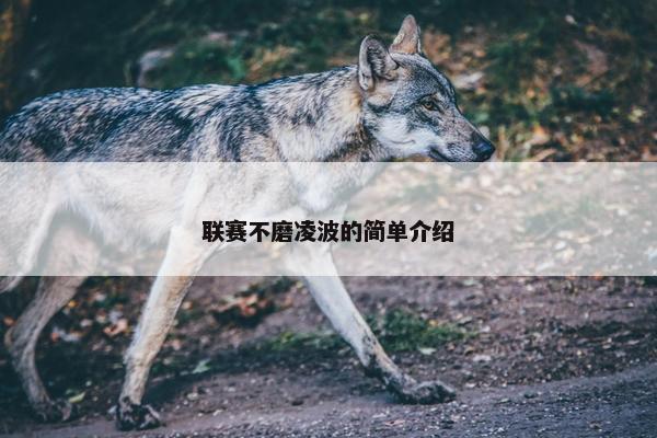 联赛不磨凌波的简单介绍