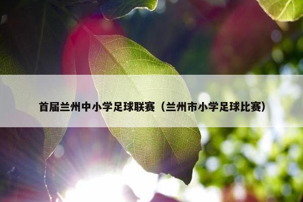 首届兰州中小学足球联赛（兰州市小学足球比赛）