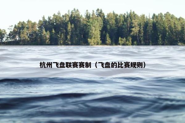 杭州飞盘联赛赛制（飞盘的比赛规则）