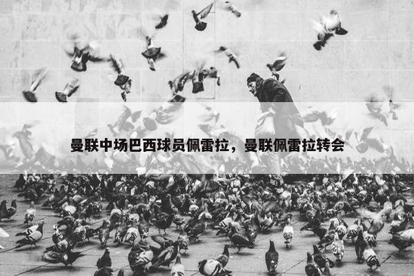 曼联中场巴西球员佩雷拉，曼联佩雷拉转会