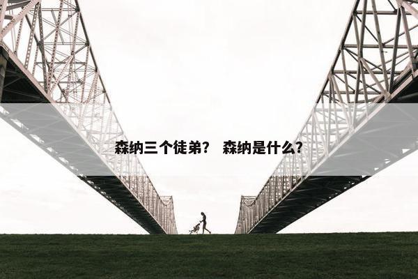 森纳三个徒弟？ 森纳是什么？