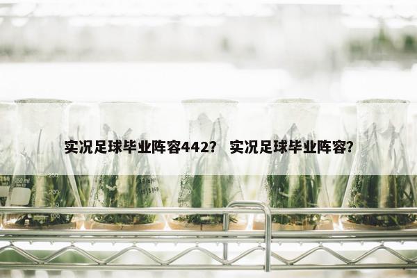 实况足球毕业阵容442？ 实况足球毕业阵容？
