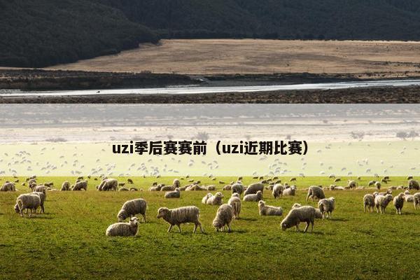 uzi季后赛赛前（uzi近期比赛）
