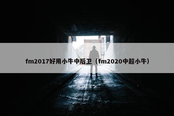 fm2017好用小牛中后卫（fm2020中超小牛）