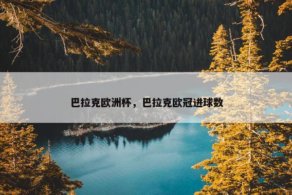 巴拉克欧洲杯，巴拉克欧冠进球数