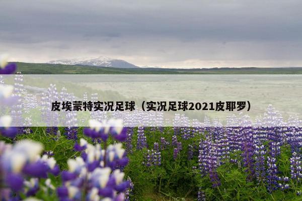 皮埃蒙特实况足球（实况足球2021皮耶罗）
