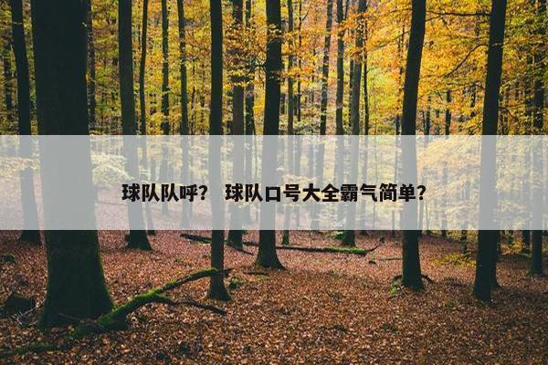 球队队呼？ 球队口号大全霸气简单？