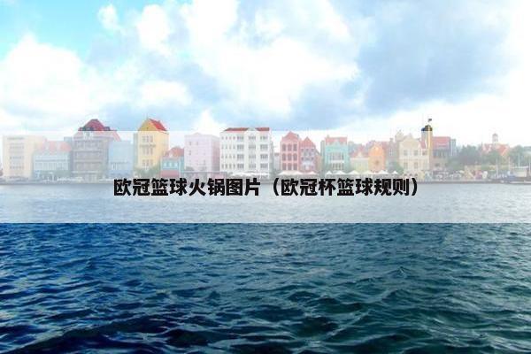 欧冠篮球火锅图片（欧冠杯篮球规则）
