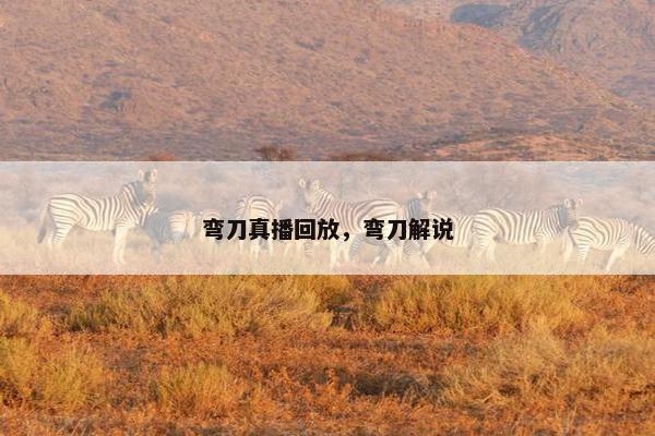 弯刀真播回放，弯刀解说