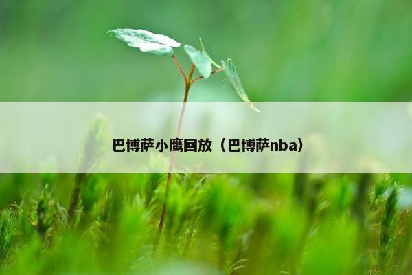 巴博萨小鹰回放（巴博萨nba）