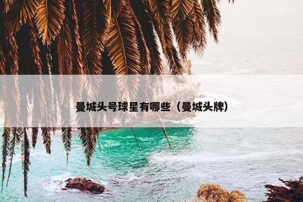 曼城头号球星有哪些（曼城头牌）