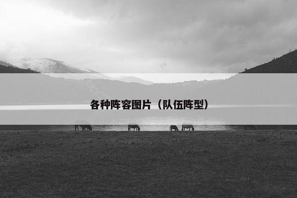 各种阵容图片（队伍阵型）