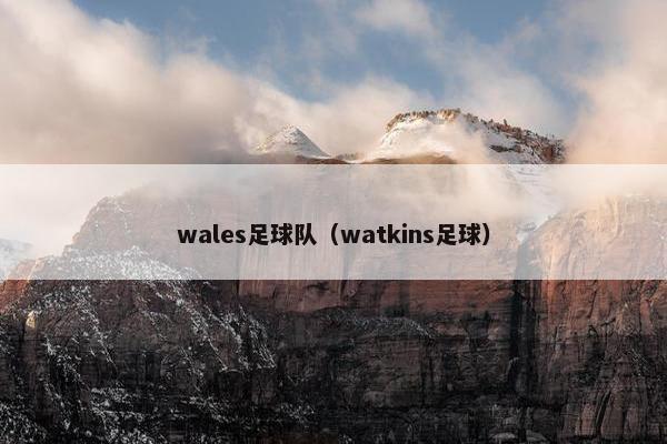 wales足球队（watkins足球）