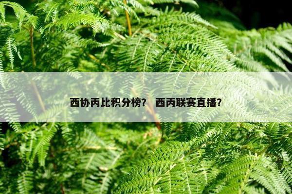 西协丙比积分榜？ 西丙联赛直播？