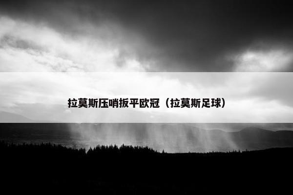 拉莫斯压哨扳平欧冠（拉莫斯足球）