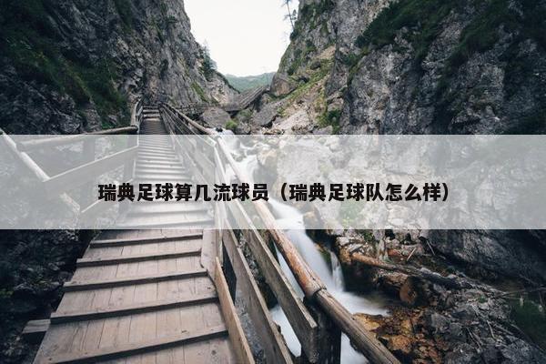 瑞典足球算几流球员（瑞典足球队怎么样）