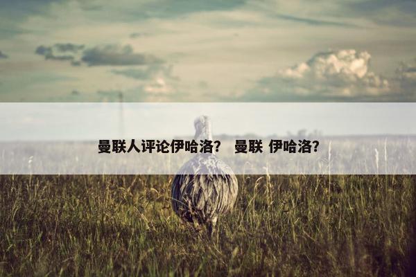曼联人评论伊哈洛？ 曼联 伊哈洛？