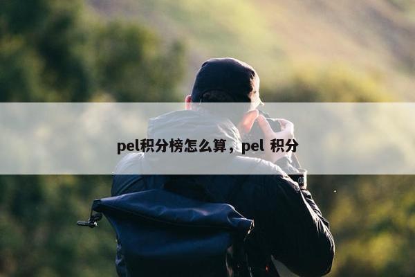 pel积分榜怎么算，pel 积分