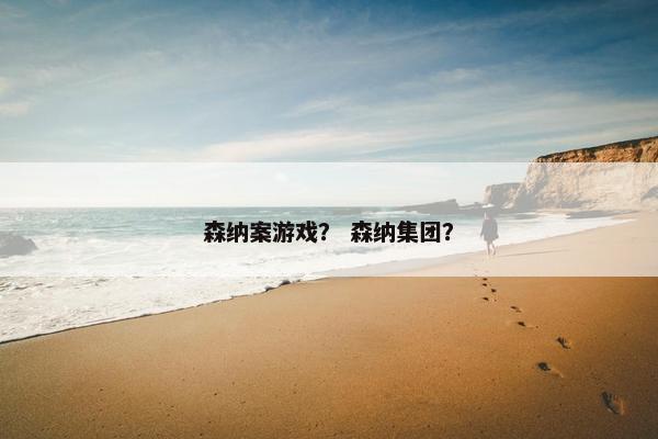 森纳案游戏？ 森纳集团？