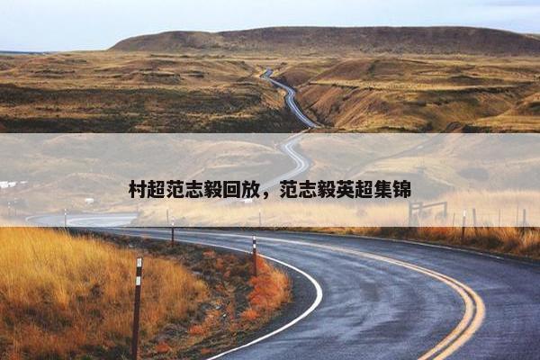 村超范志毅回放，范志毅英超集锦