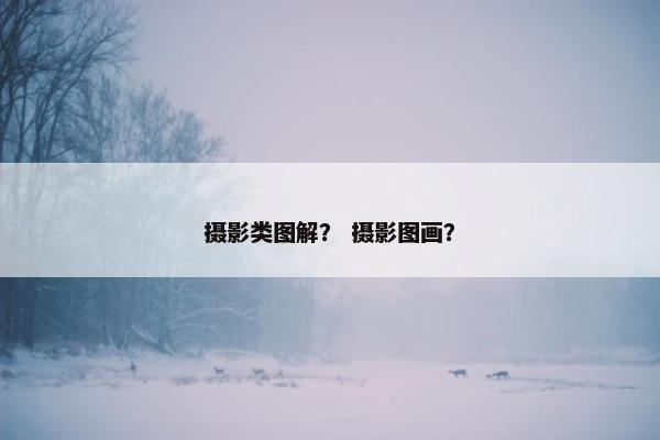 摄影类图解？ 摄影图画？