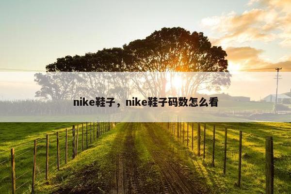 nike鞋子，nike鞋子码数怎么看