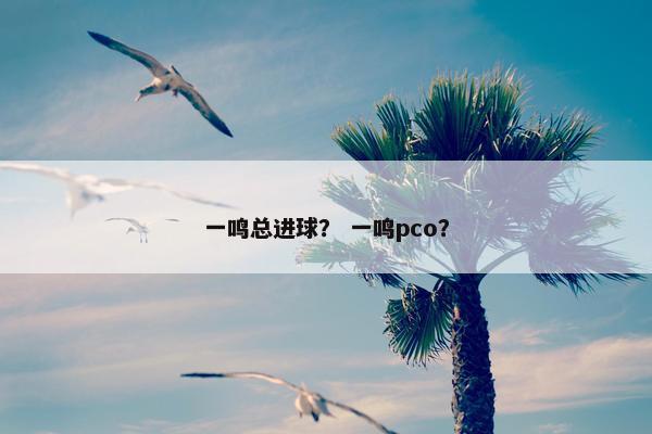 一鸣总进球？ 一鸣pco？