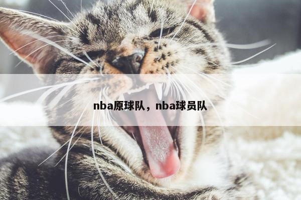 nba原球队，nba球员队