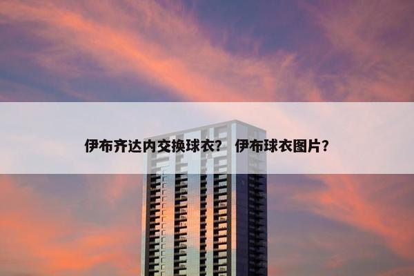 伊布齐达内交换球衣？ 伊布球衣图片？