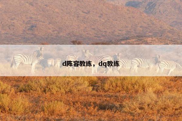 d阵容教练，dq教练
