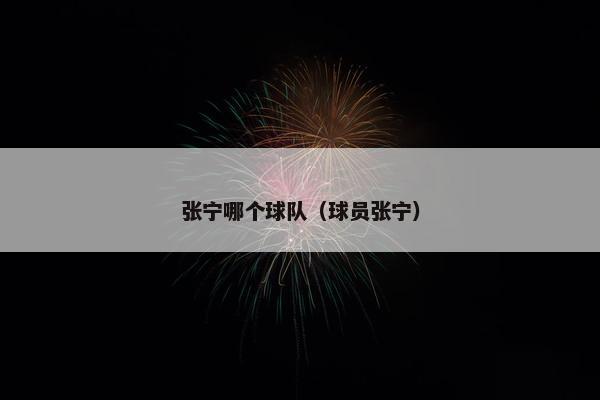 张宁哪个球队（球员张宁）