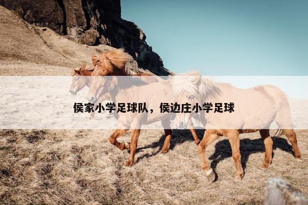 侯家小学足球队，侯边庄小学足球