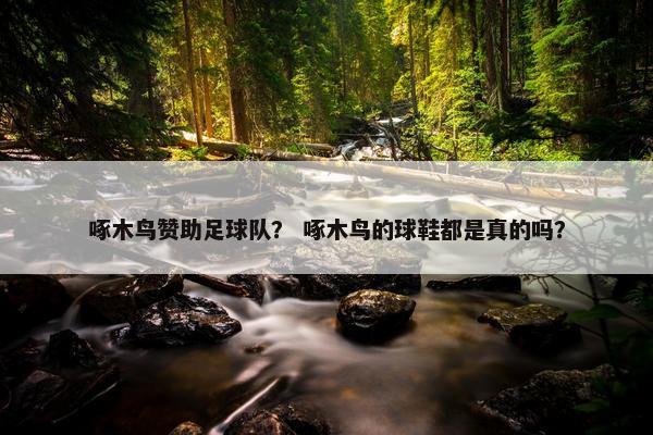 啄木鸟赞助足球队？ 啄木鸟的球鞋都是真的吗？