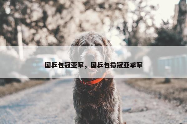 国乒包冠亚军，国乒包揽冠亚季军