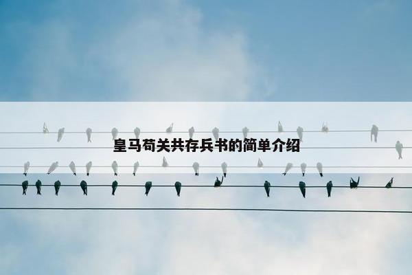 皇马苟关共存兵书的简单介绍