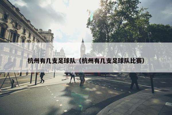 杭州有几支足球队（杭州有几支足球队比赛）