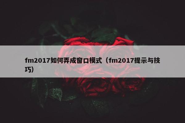 fm2017如何弄成窗口模式（fm2017提示与技巧）