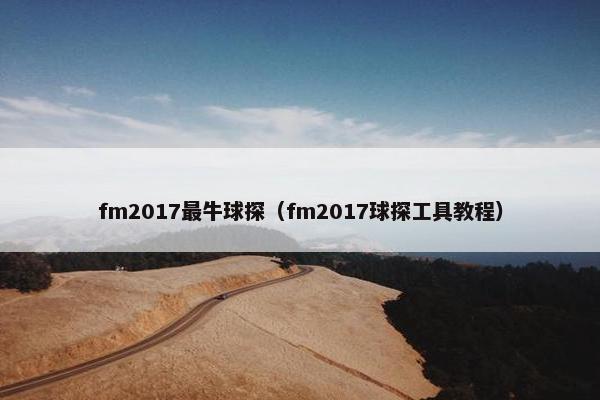 fm2017最牛球探（fm2017球探工具教程）