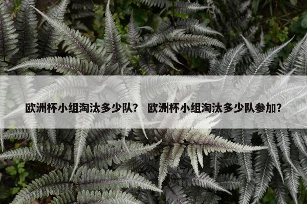 欧洲杯小组淘汰多少队？ 欧洲杯小组淘汰多少队参加？