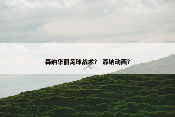 森纳华丽足球战术？ 森纳动画？