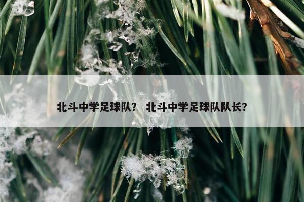 北斗中学足球队？ 北斗中学足球队队长？
