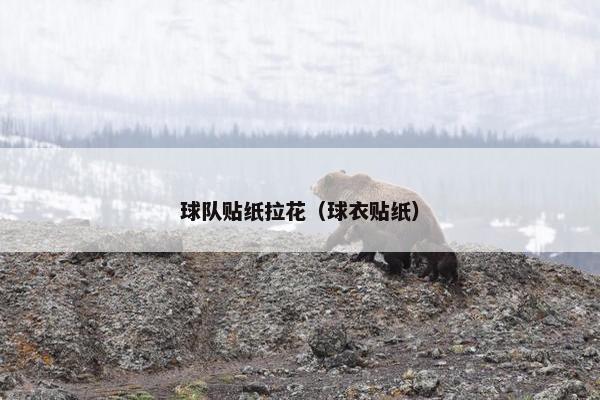 球队贴纸拉花（球衣贴纸）