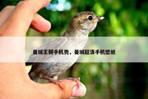 曼城王朝手机壳，曼城超清手机壁纸