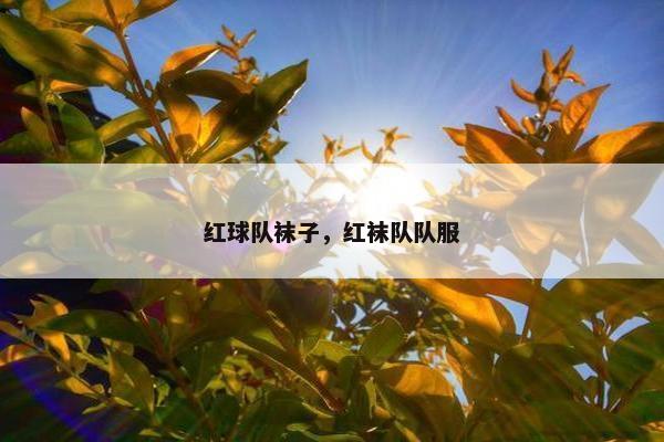 红球队袜子，红袜队队服