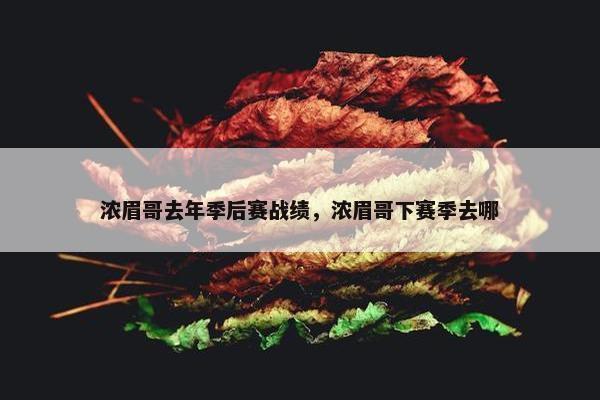 浓眉哥去年季后赛战绩，浓眉哥下赛季去哪