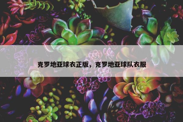 克罗地亚球衣正版，克罗地亚球队衣服